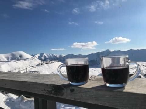 Gudauri Ski Studio ภายนอก รูปภาพ